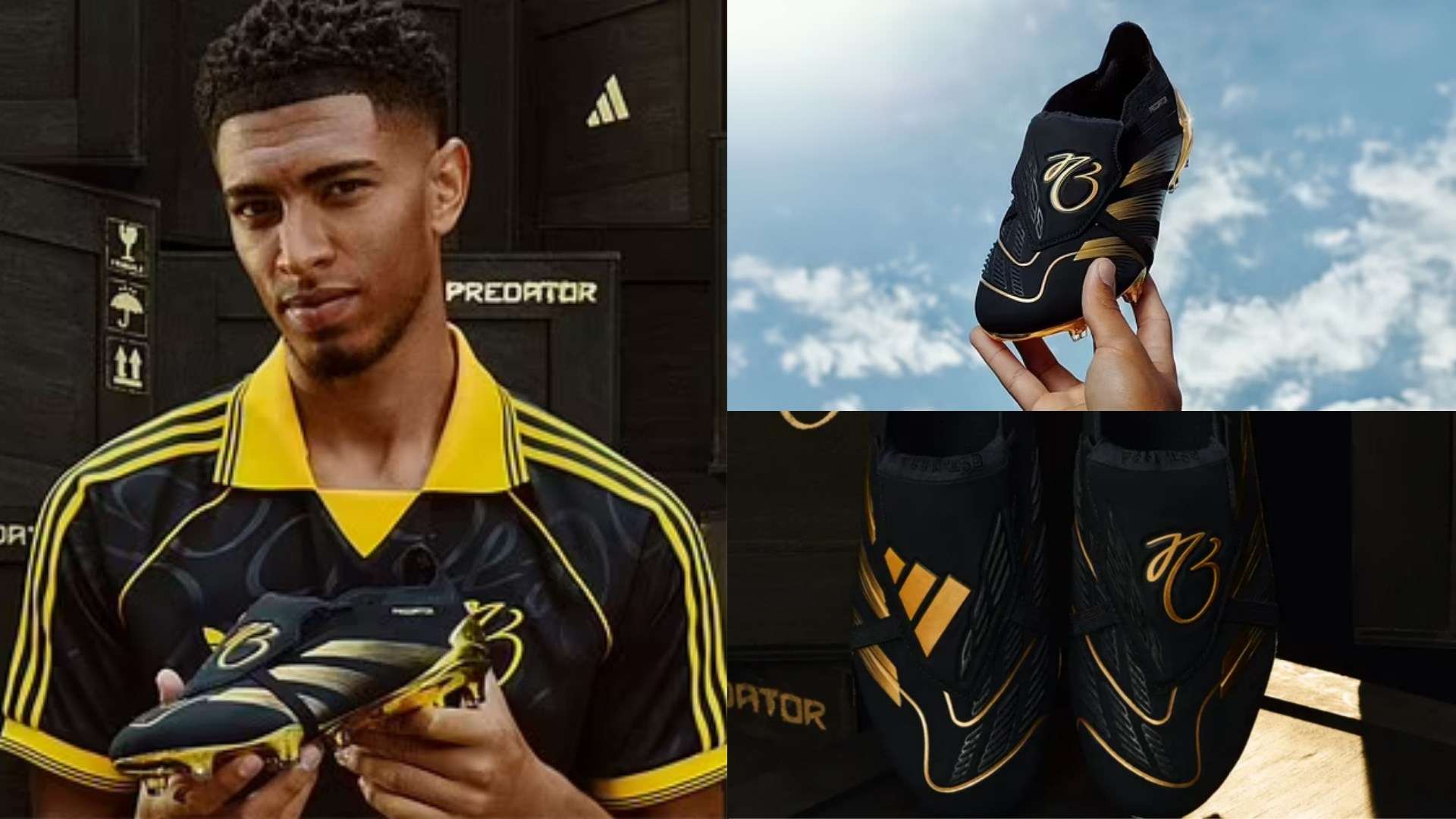 响力与地位 响力与地位