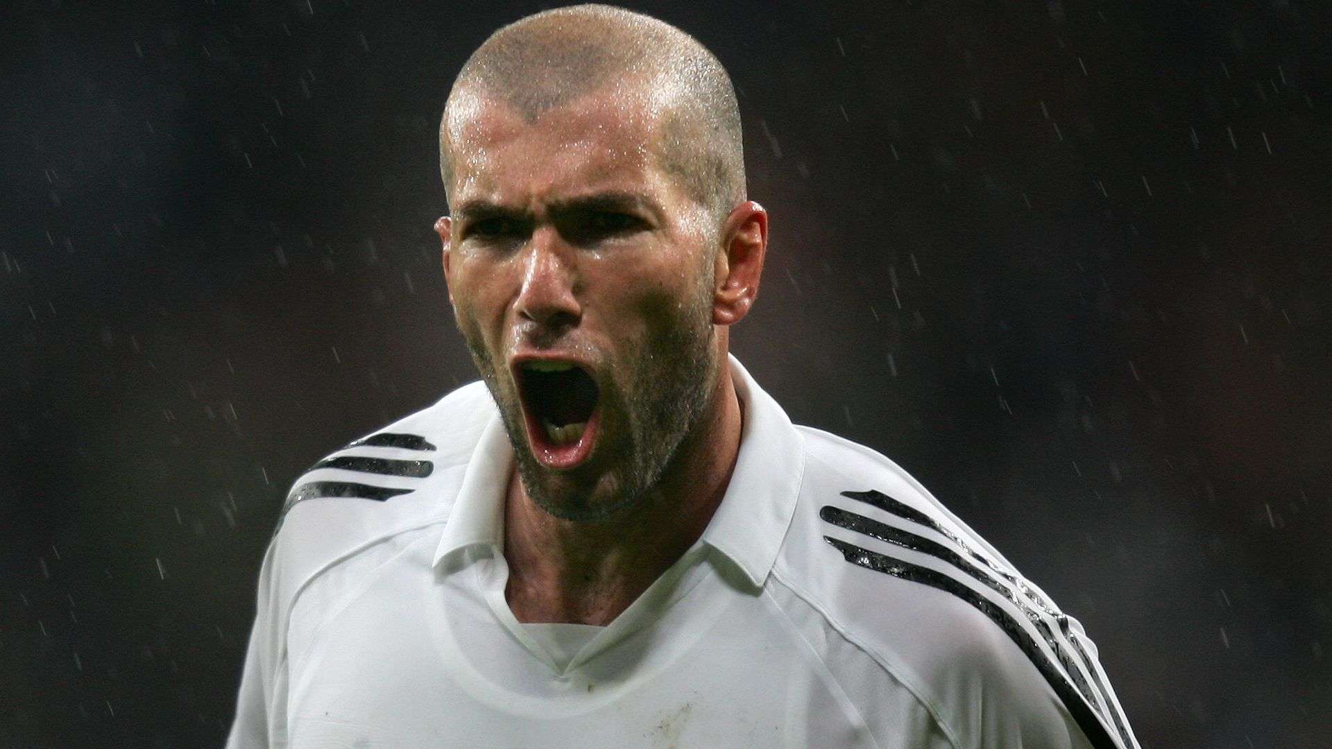 队的核心球 队的核心球