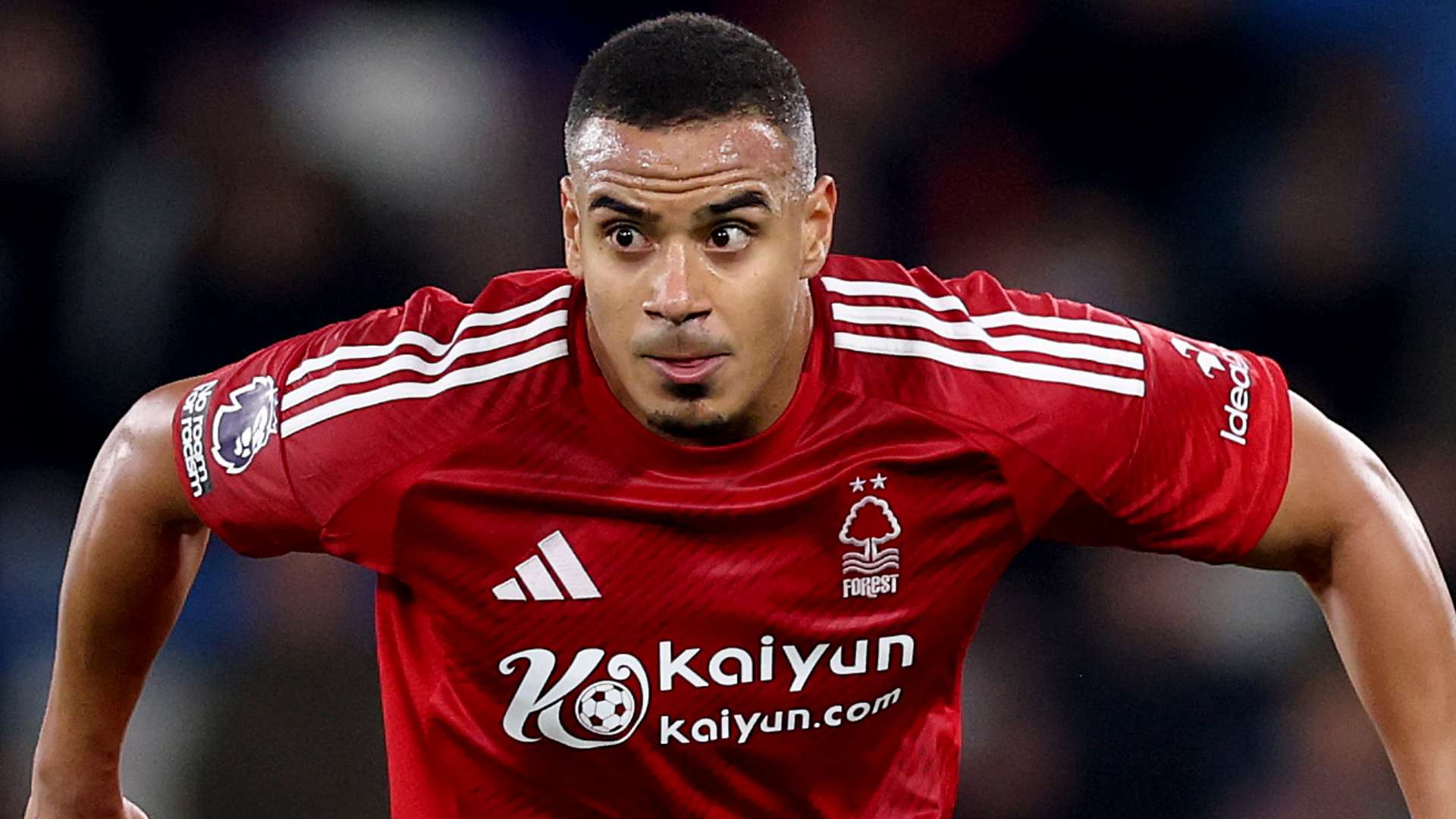 丽足球的碰 丽足球的碰