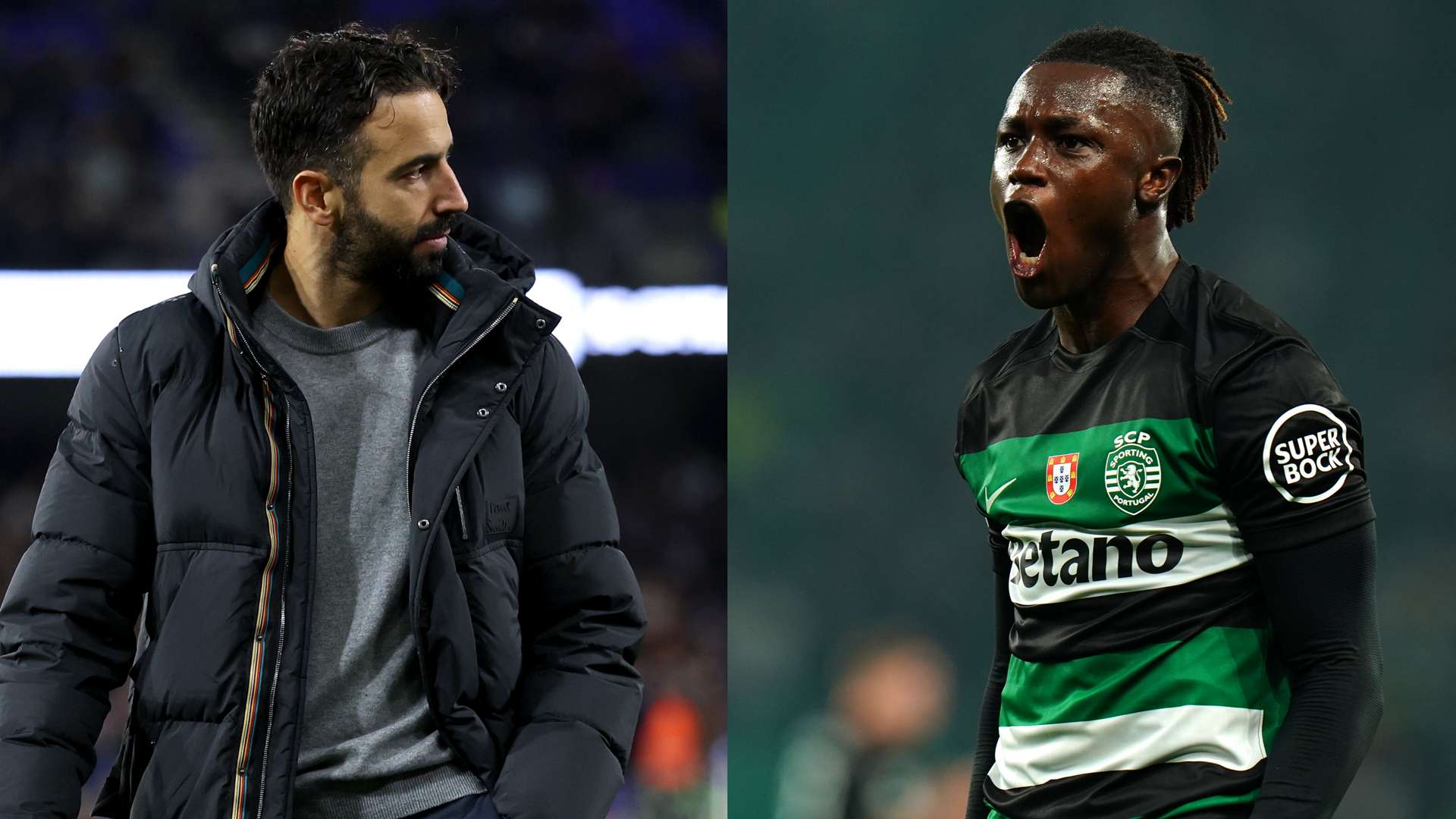 但这一过程 但这一过程